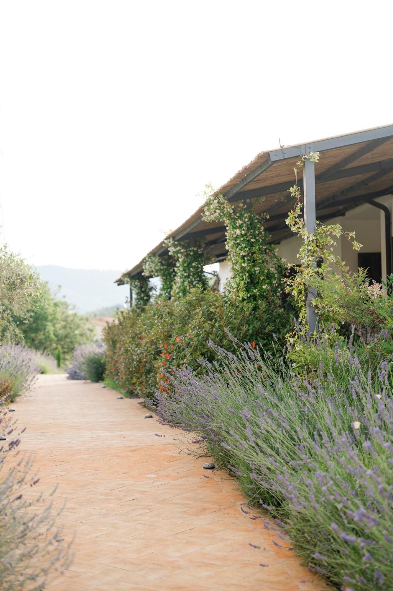 טודי Hortus Natural Living מראה חיצוני תמונה